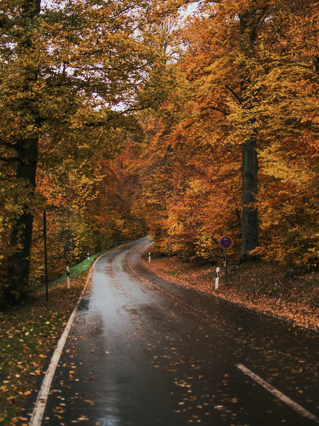 Scenic German highway